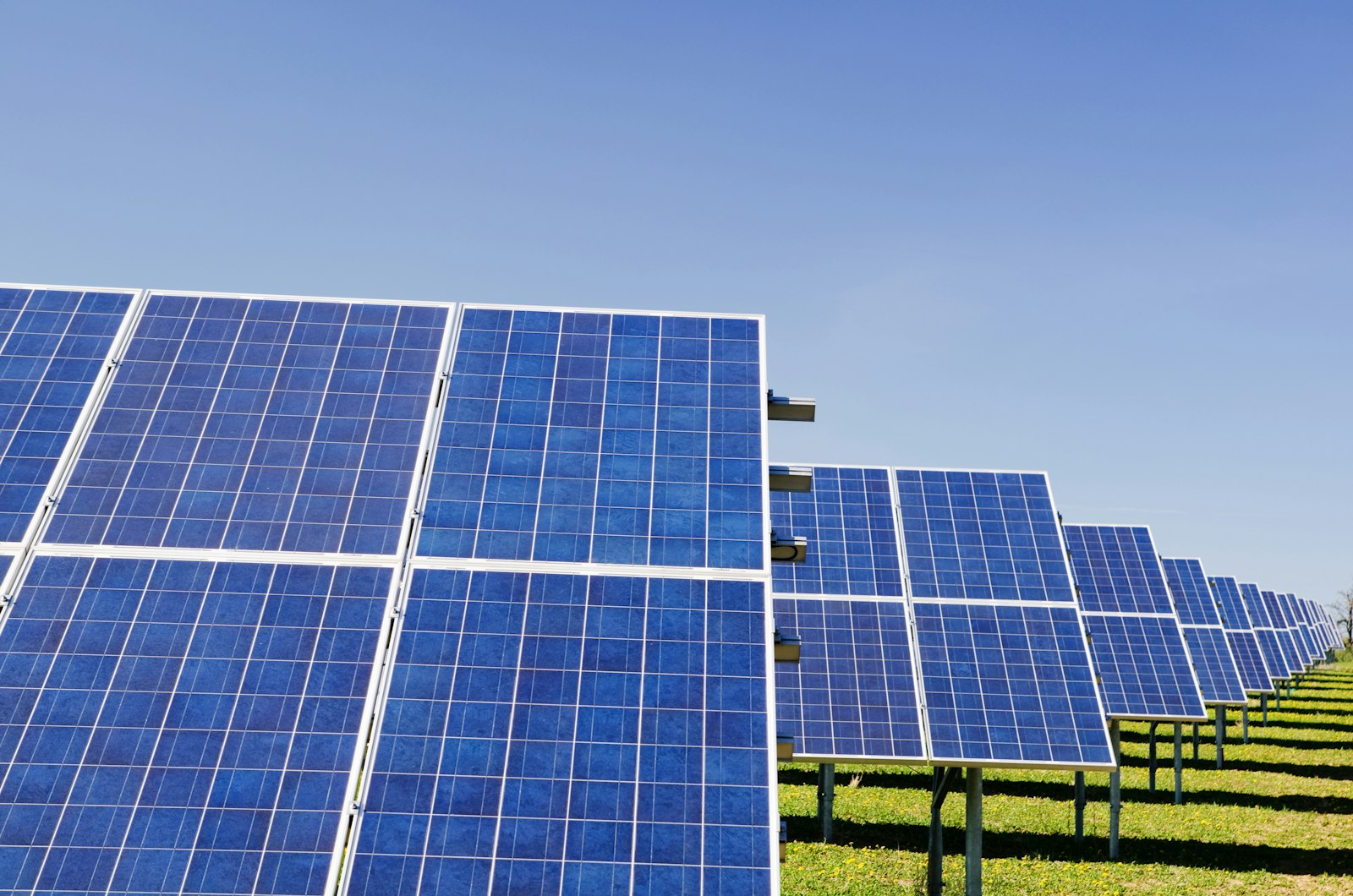 Panel surya untuk proyek energi bersih